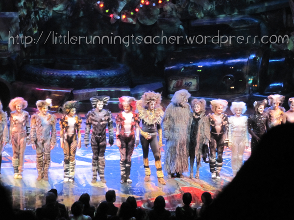 cats musical. Cats the Musical