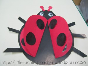 ladybug_07