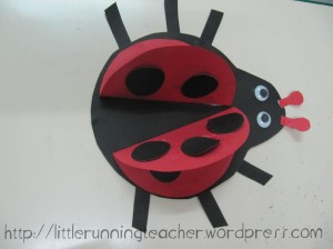 ladybug_08