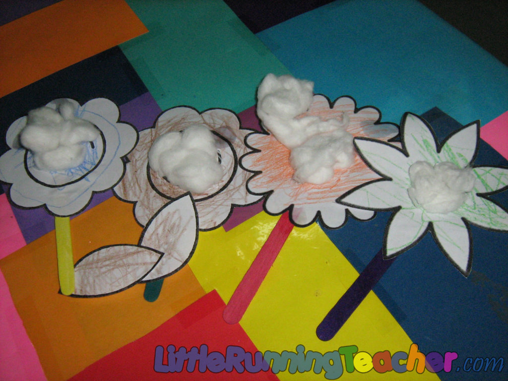 Fragrant_Flowers10