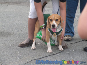Greentennial4