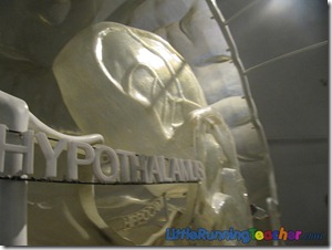 Mind_Museum_Fort_Bonifacio154