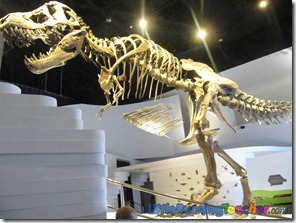 Mind_Museum_Fort_Bonifacio30