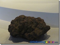 Mind_Museum_Fort_Bonifacio32